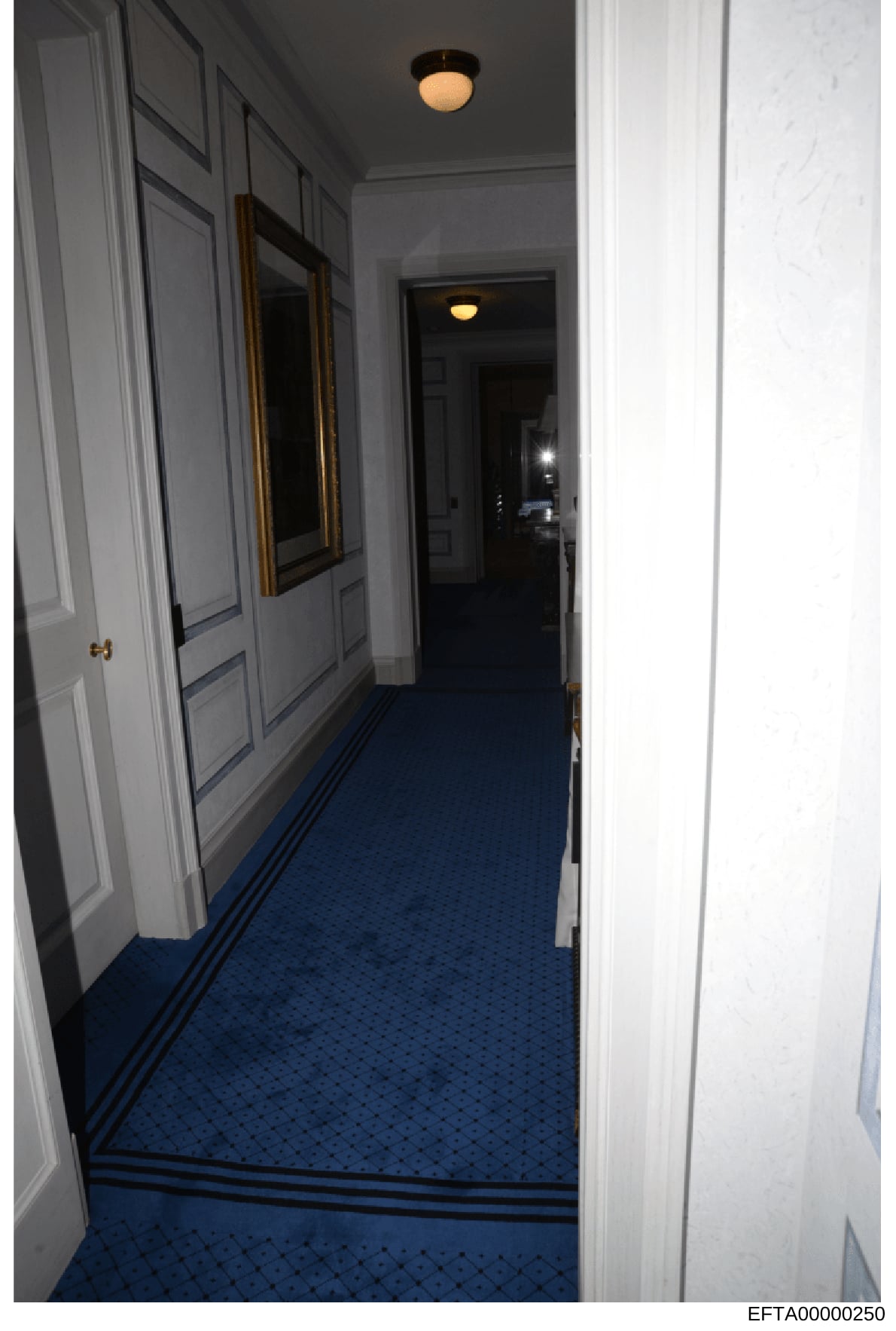 This is an evidence photograph showing an interior hallway from one of the properties under investigation. The hallway features white paneled doors, blue carpeting with decorative borders, and period lighting fixtures. The image appears to be documen