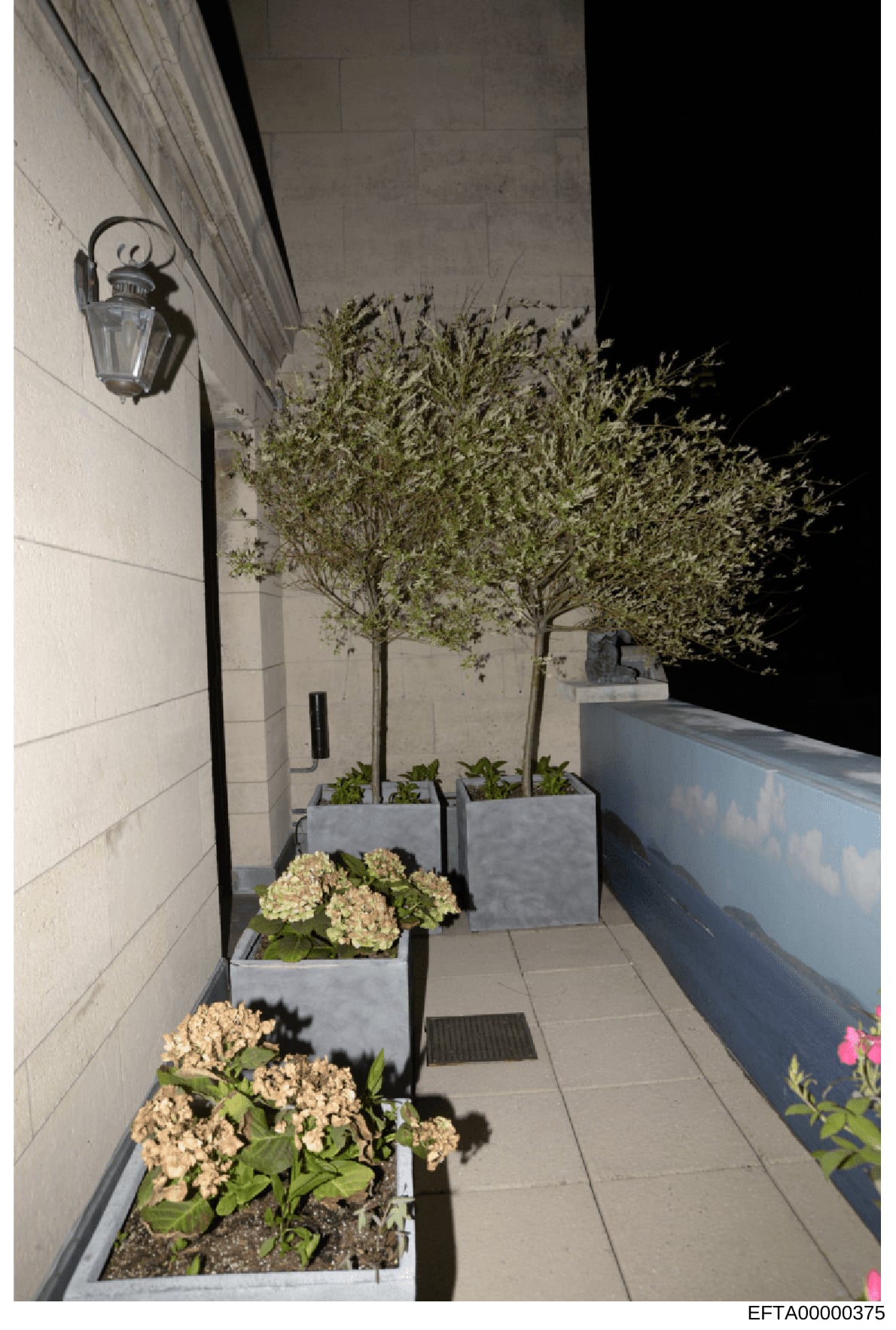 This is a photograph of an outdoor terrace or balcony area showing architectural features and landscaping. The image depicts a modern residential or commercial exterior space with potted plants, trees in planters, decorative lighting fixtures, and wh