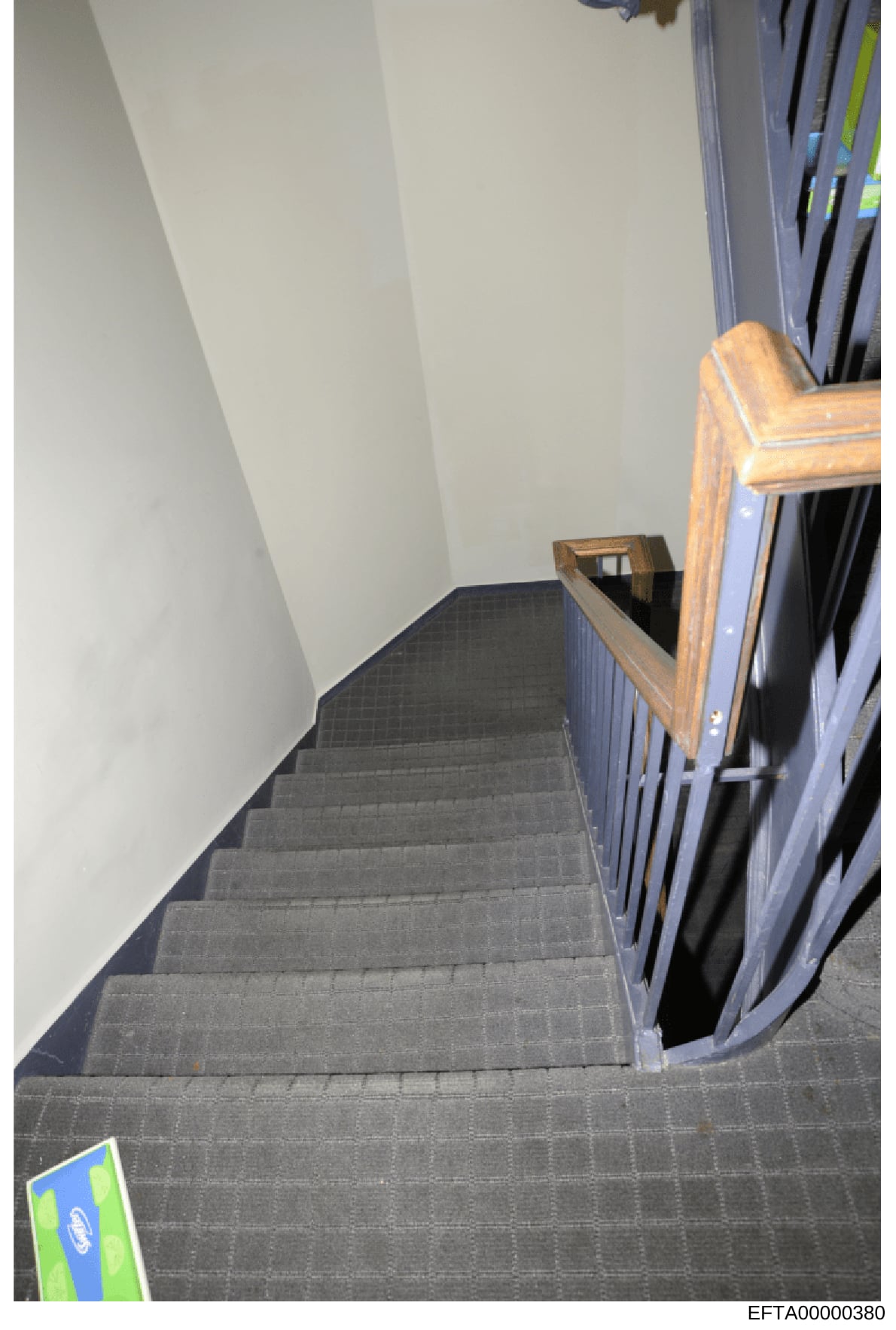 This is an evidence photograph showing an interior stairwell with gray carpeted steps, white walls, a wooden handrail, and a blue safety gate or barrier visible on the right side. The photo appears to be documentation of property interior during an i