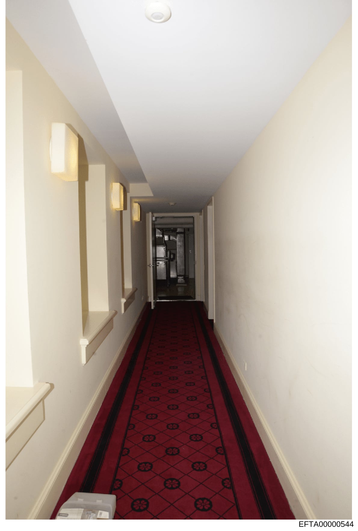 This photograph shows a long, narrow hallway with cream-colored walls, recessed lighting fixtures, and a distinctive red carpet with a repeating pattern. The hallway appears to be in a high-end residence or property associated with Jeffrey Epstein. T