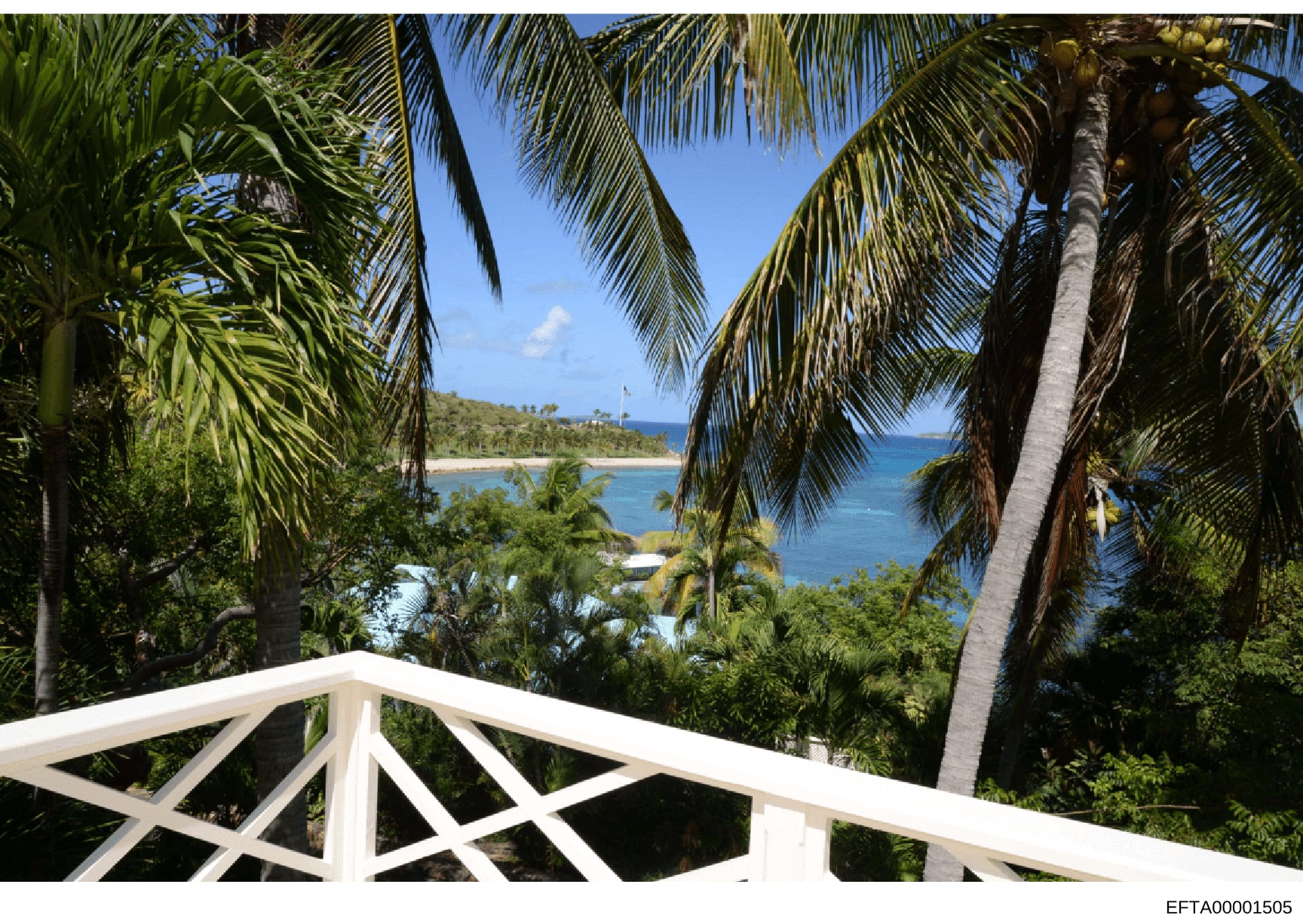 This photograph shows a scenic coastal view taken from a balcony or deck of a tropical property. The image captures white wooden railings in the foreground, dense palm tree vegetation, and expansive ocean views with a sandy beach visible in the dista