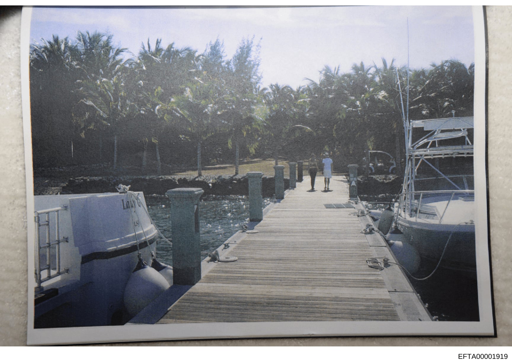 This photograph shows a residential or private waterfront property featuring a wooden dock with multiple moored boats, palm trees, and lush tropical vegetation in the background. The image appears to be documentation of real estate or property associ