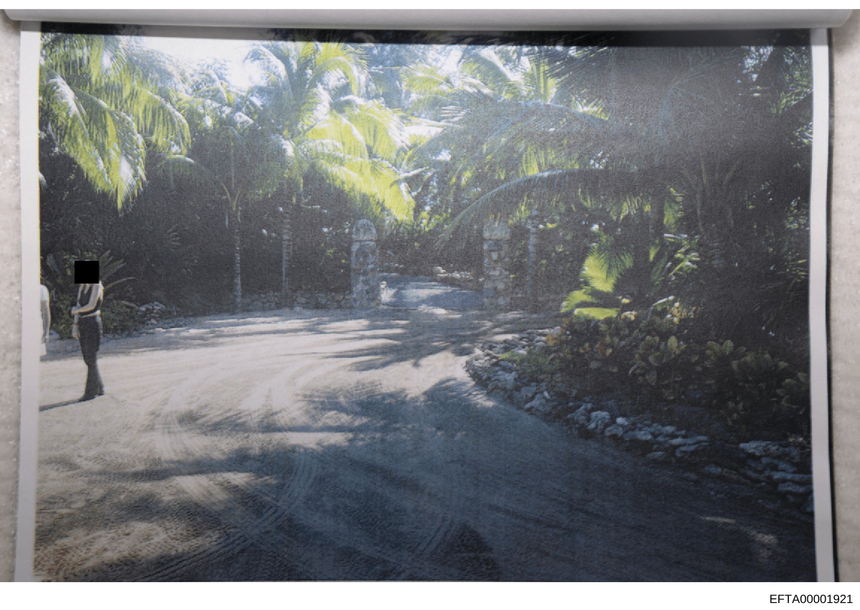This is a photograph of an outdoor courtyard or driveway area at a tropical property, showing a wide sandy/light-colored pathway lined with lush palm trees and tropical vegetation. Stone structures or gate posts are visible in the background. A figur