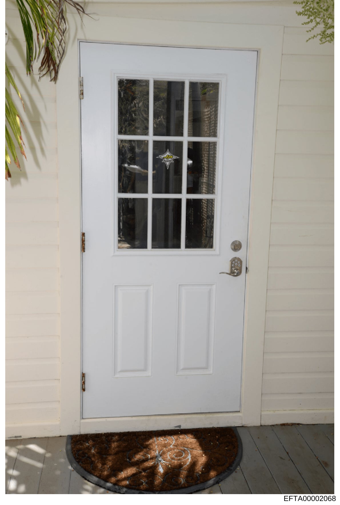 This is a photograph of a white interior door with nine glass panels in the upper half and two raised panels in the lower half. The image shows the door in what appears to be a residential or commercial entryway, with white shiplap wall paneling visi
