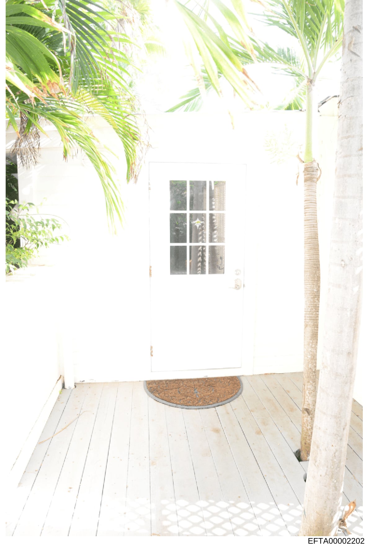 This is a photograph of an exterior entryway or porch area, featuring a white painted door with a 9-pane window, wooden decking, and tropical palm fronds overhead. The image appears to be documentation of a property associated with the investigation,