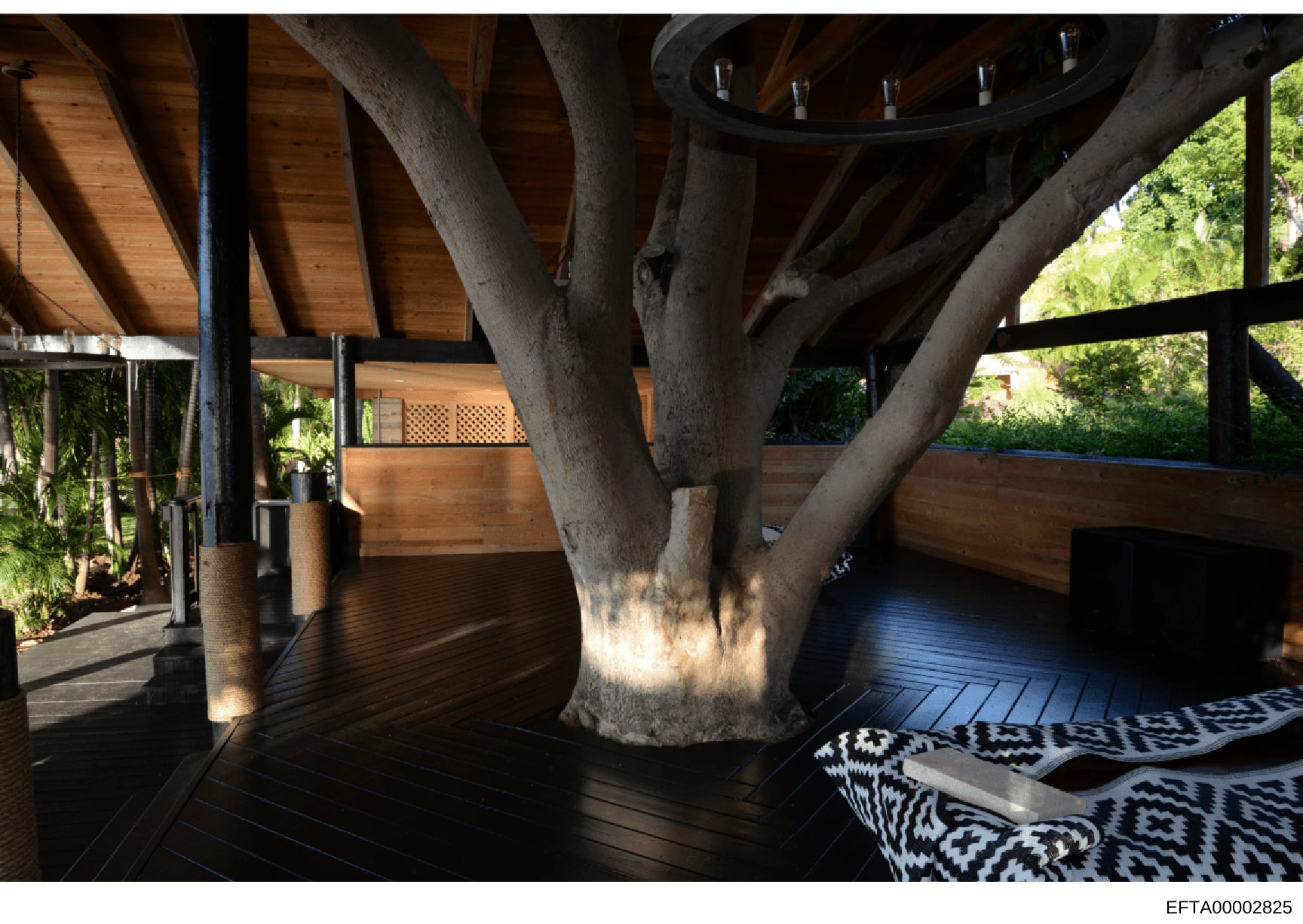 This photograph shows an architectural interior space featuring a large tree growing through a wooden deck structure. The image captures modern design elements including dark wooden flooring, geometric patterned cushions, and wood-beam construction.