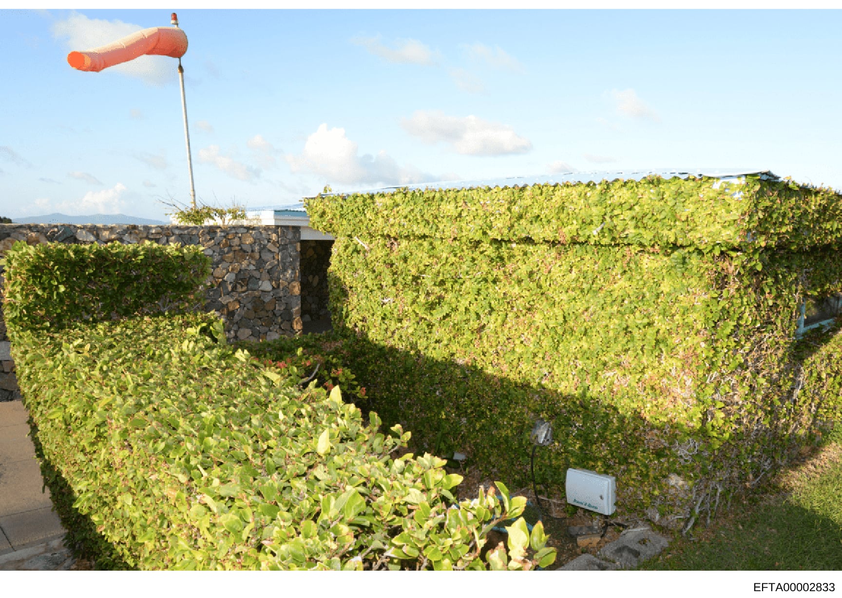 This is a photograph of an exterior property feature showing a heavily landscaped compound with tall green hedges forming a privacy barrier, a stone-constructed entry structure with dark doorway, and a red windsock visible at the top. The image appea