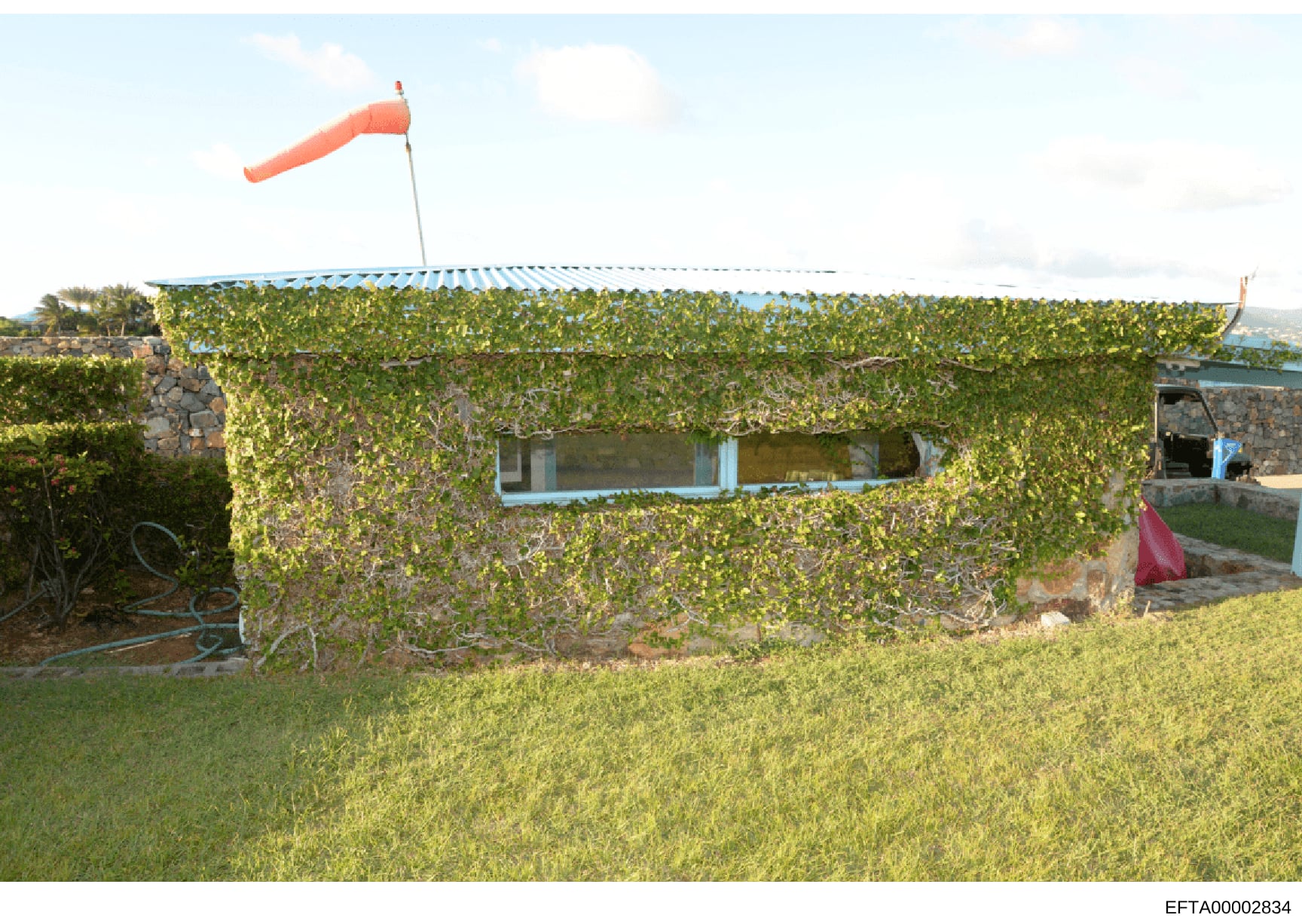 This is a photograph of a small residential or utility structure heavily covered in ivy vines, with a corrugated metal roof and blue-painted window frames. A red windsock is mounted on the roof. The image appears to be evidence documentation from a p