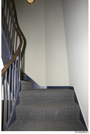 This is a photograph of an interior staircase, likely from one of Epstein's properties documented during the investigation. The image shows a flight of stairs with gray carpet, a wooden handrail with metal balusters, and white walls. The photo appear