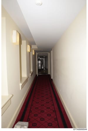 This photograph shows a long, narrow hallway with cream-colored walls, recessed lighting fixtures, and a distinctive red carpet with a repeating pattern. The hallway appears to be in a high-end residence or property associated with Jeffrey Epstein. T