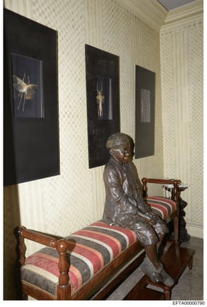 This photograph shows an interior room featuring a bronze sculpture of a seated figure on a striped upholstered bench, positioned against a wallpapered wall. Three black-framed artworks displaying insects or natural specimens are hung on the wall. Th