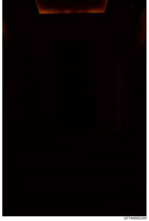 Photo from document: EFTA00001497