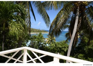 This photograph shows a scenic coastal view taken from a balcony or deck of a tropical property. The image captures white wooden railings in the foreground, dense palm tree vegetation, and expansive ocean views with a sandy beach visible in the dista