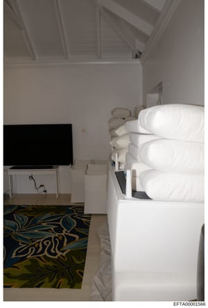 This is an evidence photograph showing the interior of a bedroom space, featuring a bed with white pillows and linens on the right side, a television set on a stand on the left, and decorative flooring with a patterned rug in blue and gold tones. The