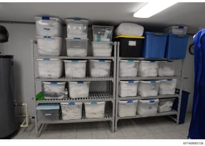 This photograph shows a storage room or closet with multiple shelves containing numerous white plastic storage bins and containers with blue labels. The bins appear to be organized and labeled, suggesting inventory storage or evidence documentation. 