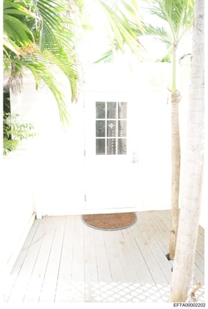 This is a photograph of an exterior entryway or porch area, featuring a white painted door with a 9-pane window, wooden decking, and tropical palm fronds overhead. The image appears to be documentation of a property associated with the investigation,
