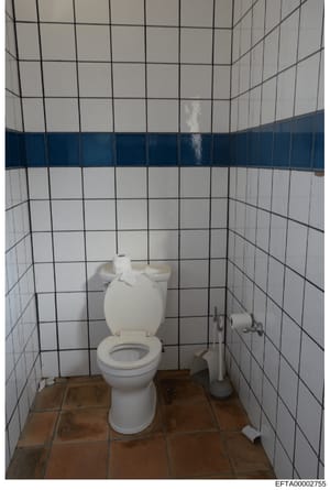 A photograph of a bathroom interior showing a white porcelain toilet, tissue holder, and waste bin. The room features white tiles with a dark blue horizontal stripe accent band. The floor appears to be terra cotta or reddish tile. This image is part 