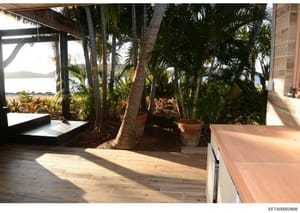 This photograph shows an interior/exterior transitional space of a luxury oceanfront property, featuring a covered patio area with light wood flooring, extensive tropical landscaping with palm trees, and views of the ocean and coastline beyond. The s