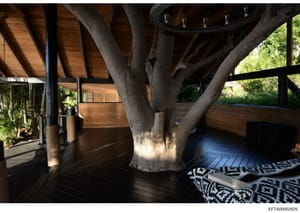 This photograph shows an architectural interior space featuring a large tree growing through a wooden deck structure. The image captures modern design elements including dark wooden flooring, geometric patterned cushions, and wood-beam construction. 