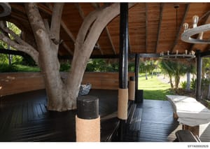 This is a photograph of a wooden covered pavilion or outdoor structure featuring a large tree growing through the center, decorative rope-wrapped support posts, and minimal furnishings including cushioned seating. The structure appears to be part of 