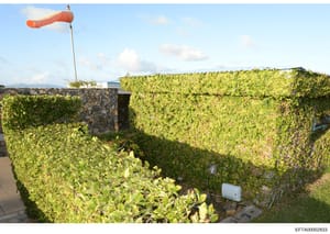 This is a photograph of an exterior property feature showing a heavily landscaped compound with tall green hedges forming a privacy barrier, a stone-constructed entry structure with dark doorway, and a red windsock visible at the top. The image appea