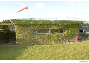 This is a photograph of a small residential or utility structure heavily covered in ivy vines, with a corrugated metal roof and blue-painted window frames. A red windsock is mounted on the roof. The image appears to be evidence documentation from a p