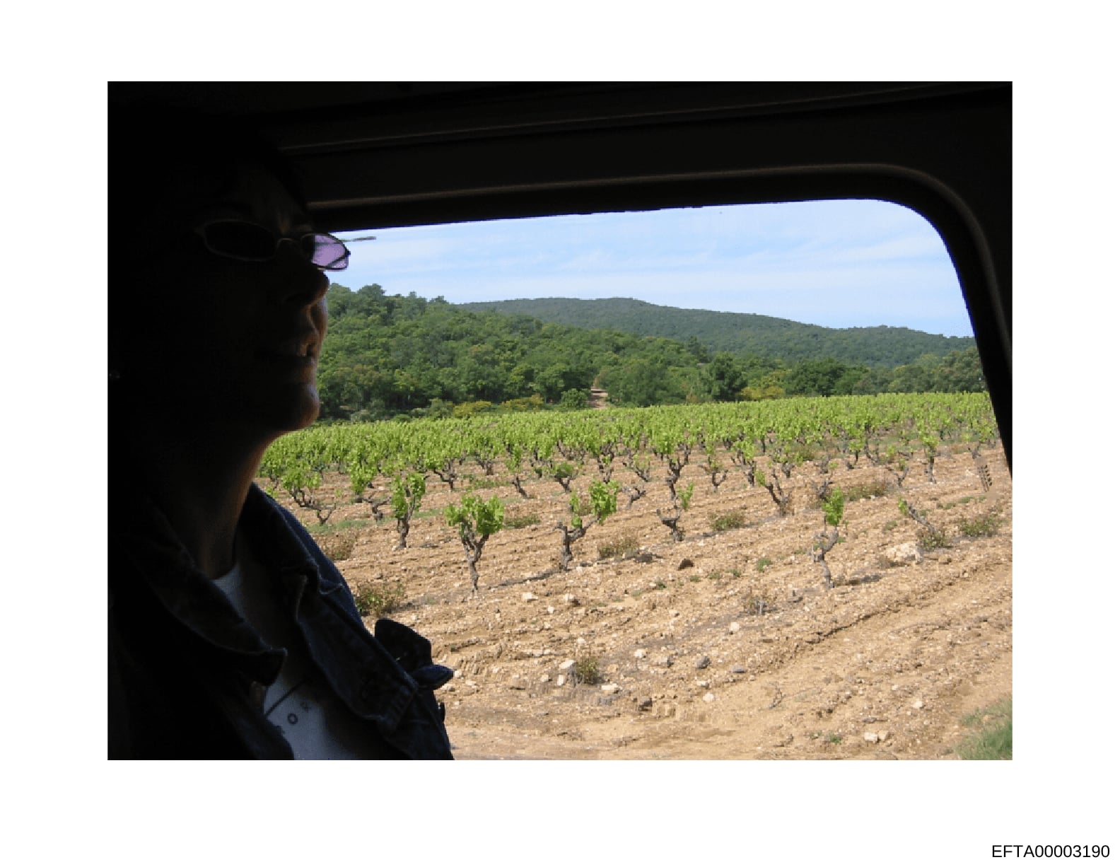 This photograph shows a person looking out from a vehicle window at an expansive vineyard with grapevines in rows across rolling terrain, with forested hills in the background. The image appears to be documentation of property or a location visit, th