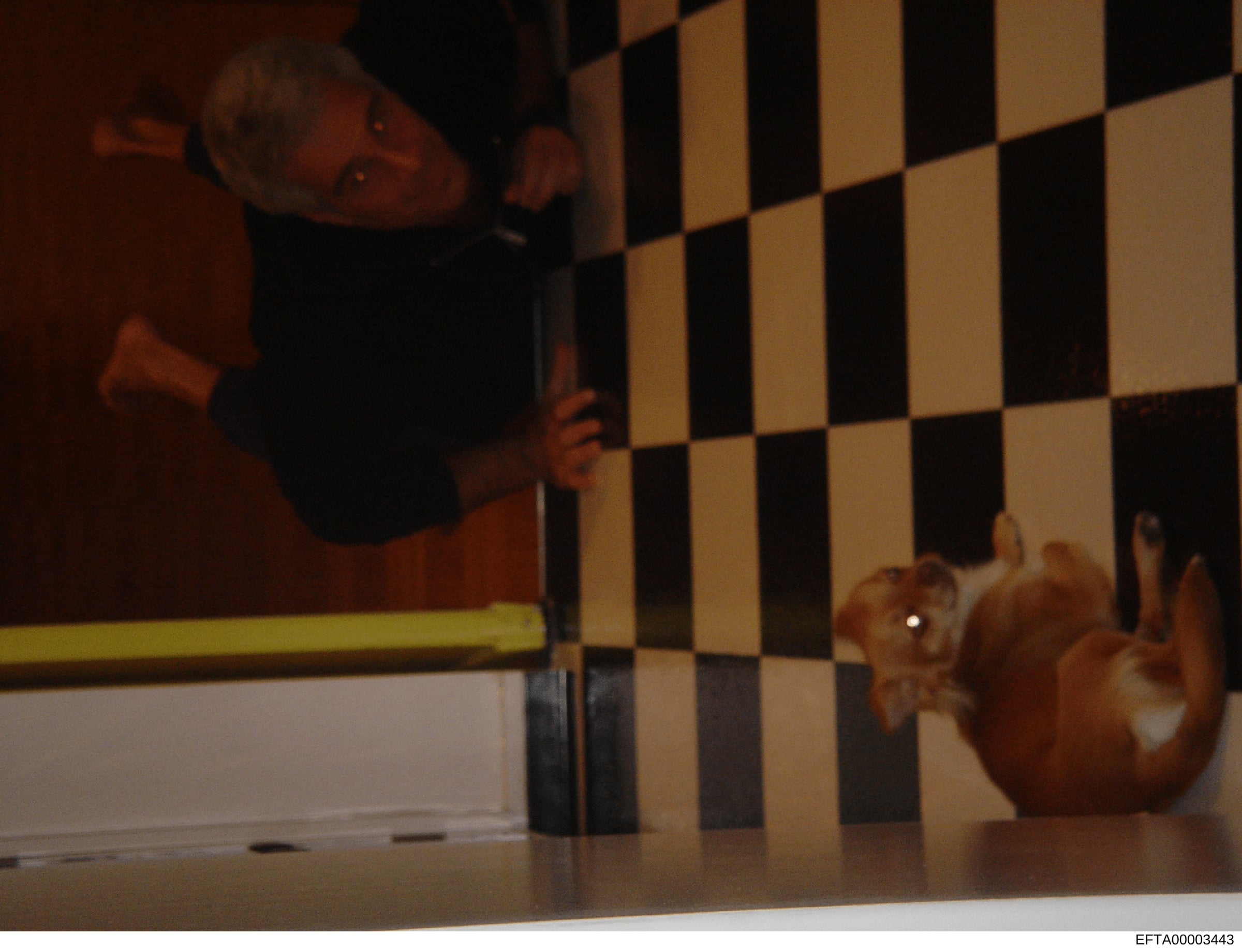 This is an interior photograph showing a room with distinctive black and tan checkered wall paneling. The image captures what appears to be residential interior design, with decorative elements visible. The photo quality and angle suggest it was take