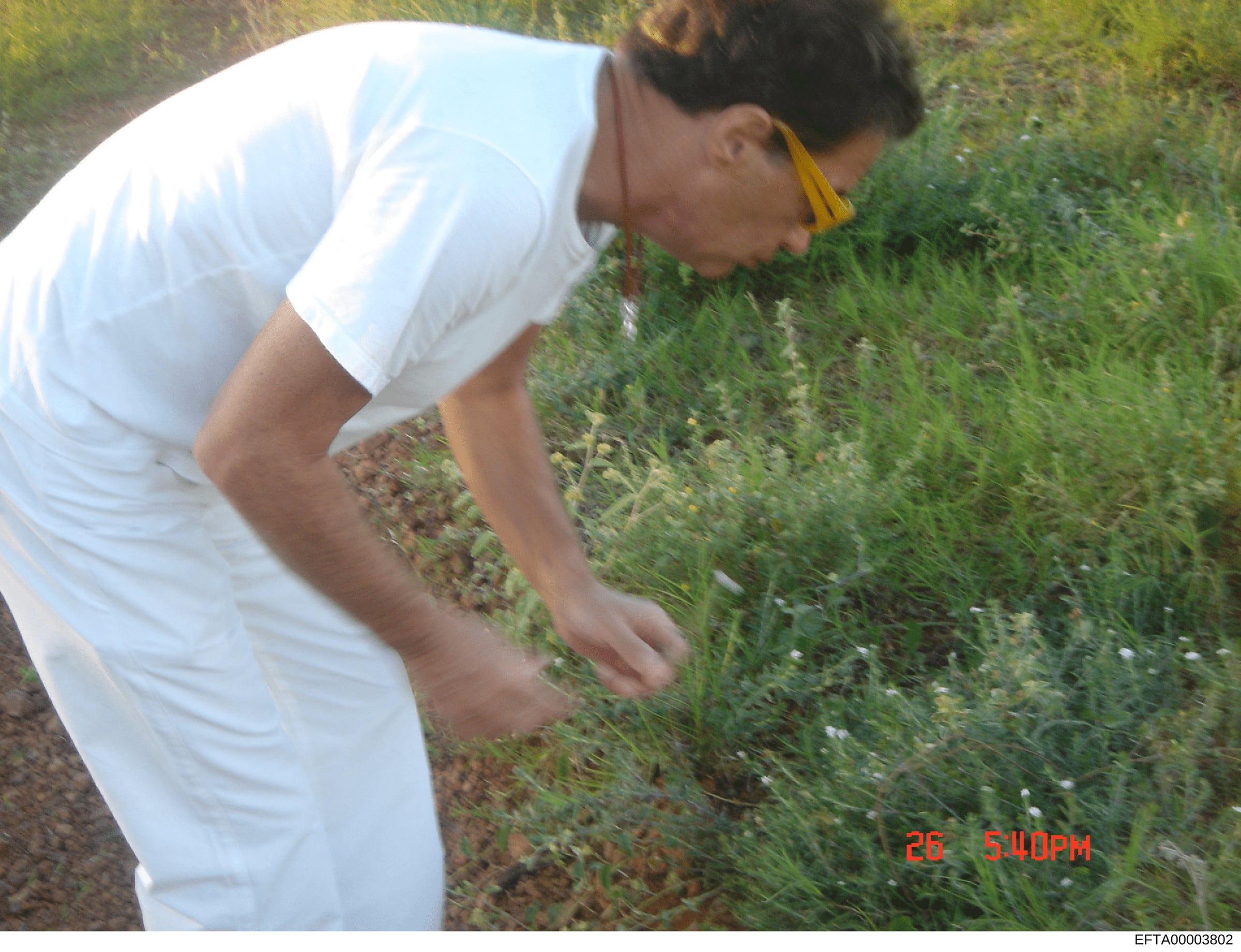 This is a casual photograph depicting an unidentified person in a white shirt bending over in an outdoor garden or landscaped setting with grass and vegetation. The timestamp shows 26 5:40PM. The context and relevance to the Epstein investigation fil