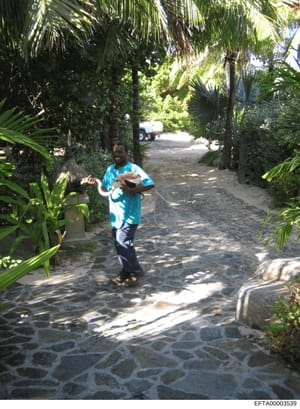 This photograph shows a person standing on a stone-paved pathway in a tropical setting with palm trees and lush vegetation. The image appears to be taken at a residential property with a white vehicle visible in the background. The location and conte