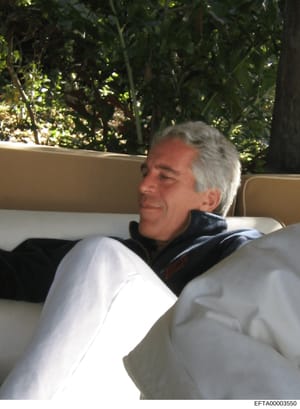 This is a candid photograph showing a gray-haired male individual seated on a light-colored upholstered chair or bench outdoors. The setting appears to be a residential garden or patio area with dense green foliage visible in the background. The phot