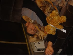 This is a photograph showing a person wearing a light-colored cowboy hat with leopard print band, positioned at an angle. The person is holding or posing with a gold/yellow glittery teddy bear. The image appears to be taken indoors in low light condi