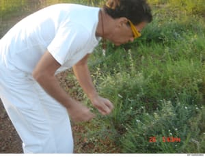 This is a casual photograph depicting an unidentified person in a white shirt bending over in an outdoor garden or landscaped setting with grass and vegetation. The timestamp shows 26 5:40PM. The context and relevance to the Epstein investigation fil