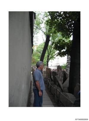 This is a photograph showing a man in a blue shirt standing in what appears to be a historic cemetery or graveyard. The image shows a narrow pathway between stone graves or monuments, with mature trees providing shade overhead. The photograph's purpo