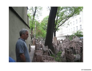 This is a color photograph showing a middle-aged man with gray hair standing in profile in what appears to be a historic Jewish cemetery. The image captures numerous weathered gravesites, tall trees, and European-style residential buildings in the ba